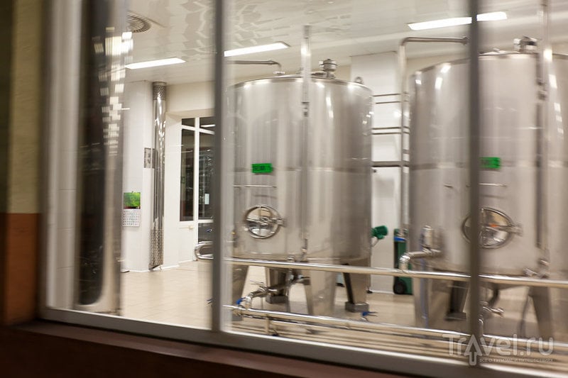 Freixenet: экскурсия на завод испанского шампанского / Испания