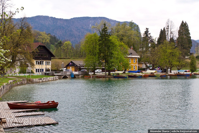 Окрестности озера Блед / Фото из Словении
