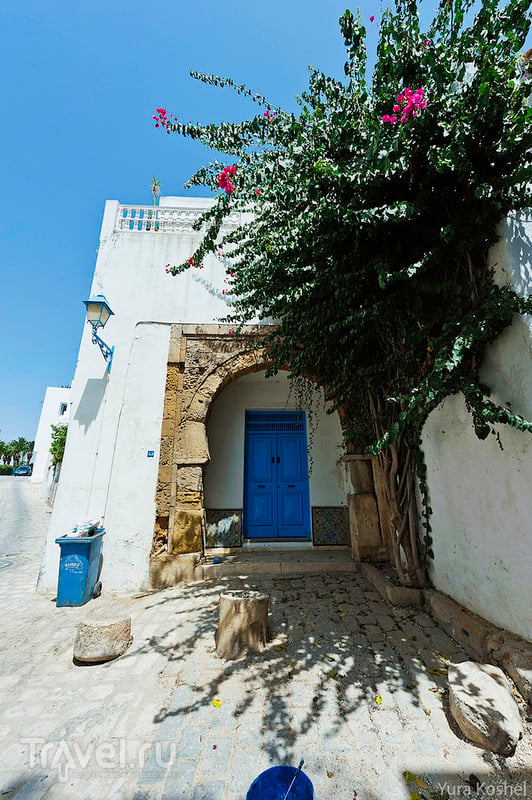 Восточная сказка Сиди-бу-Саид / Фото из Туниса