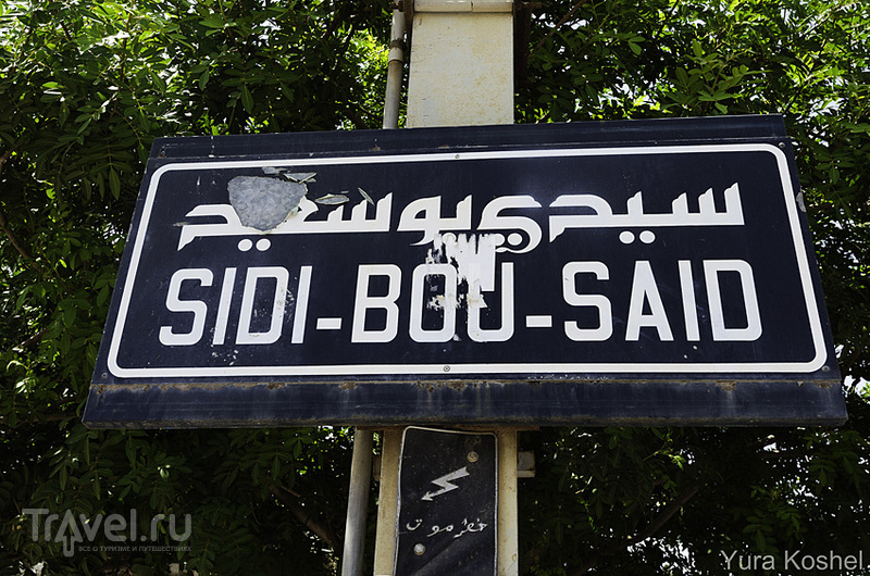 Восточная сказка Сиди-бу-Саид / Фото из Туниса