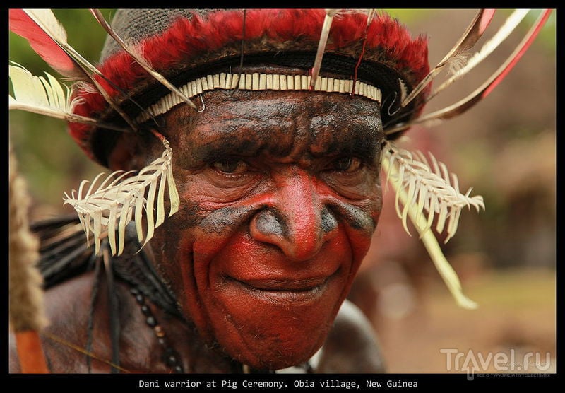 Свиная церемония у племени дани / Фото из Папуа-Новой Гвинеи