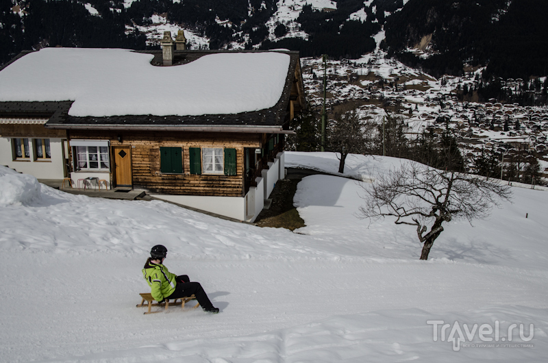 Спуск на санках - популярное развлечение / Фото из Швейцарии