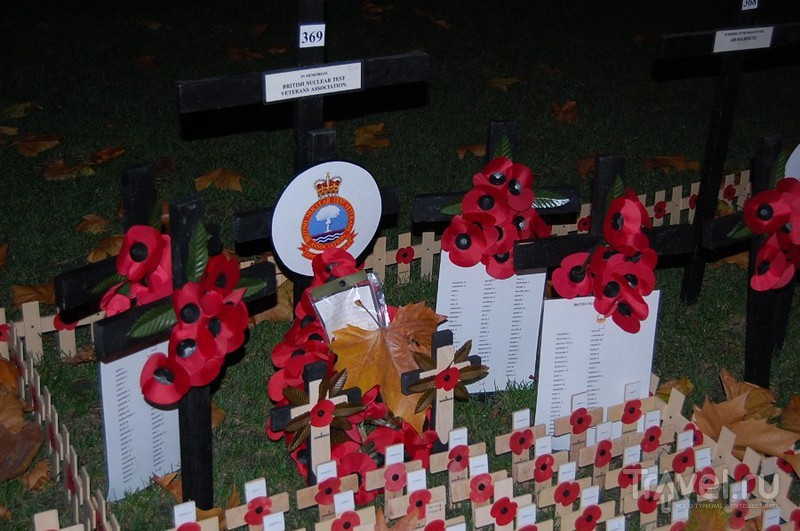 Remembrance Day,  / 