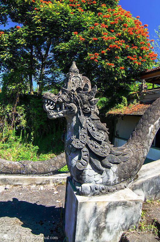 Зарисовки о Бали. Загадка заброшенного отеля / Индонезия