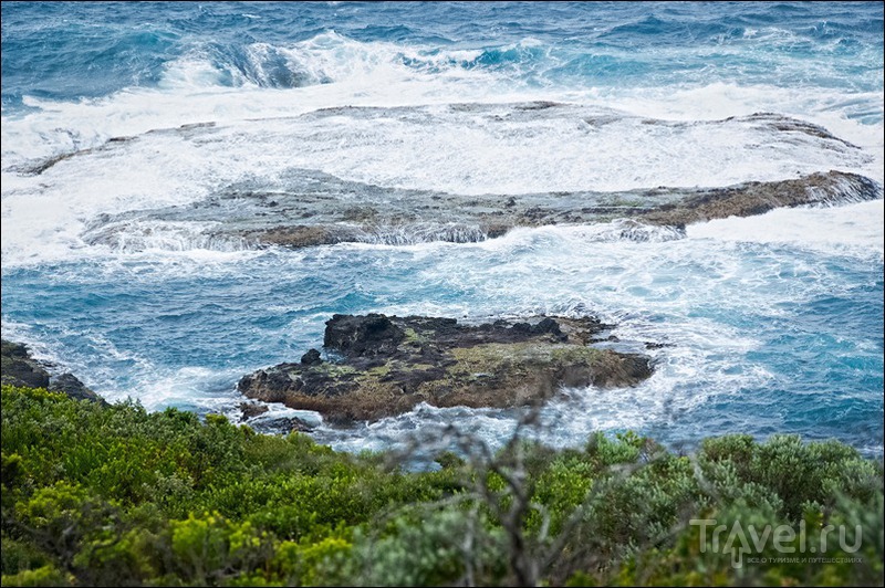 Австралия, полуостров Морнингтон / Фото из Австралии