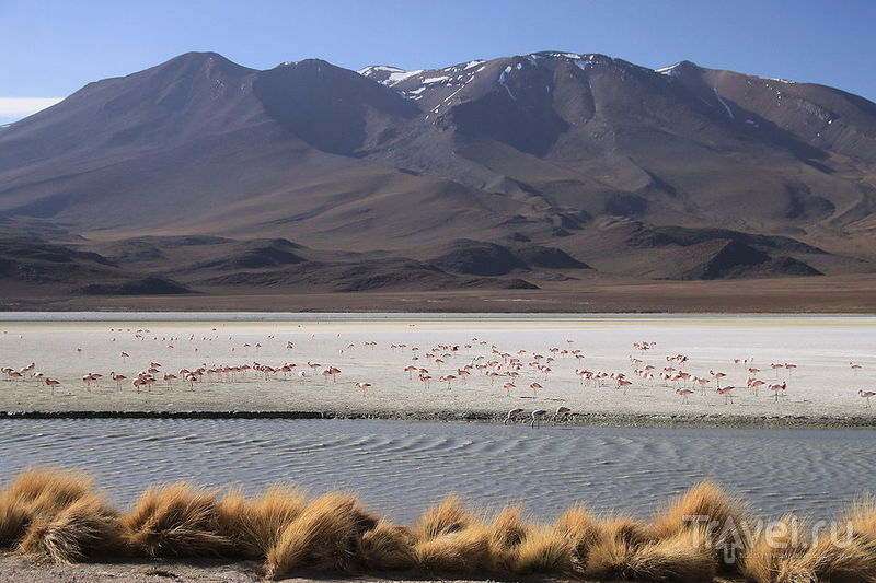 Фотозаметки: лагуны трех вулканов, Боливия / Фото из Боливии