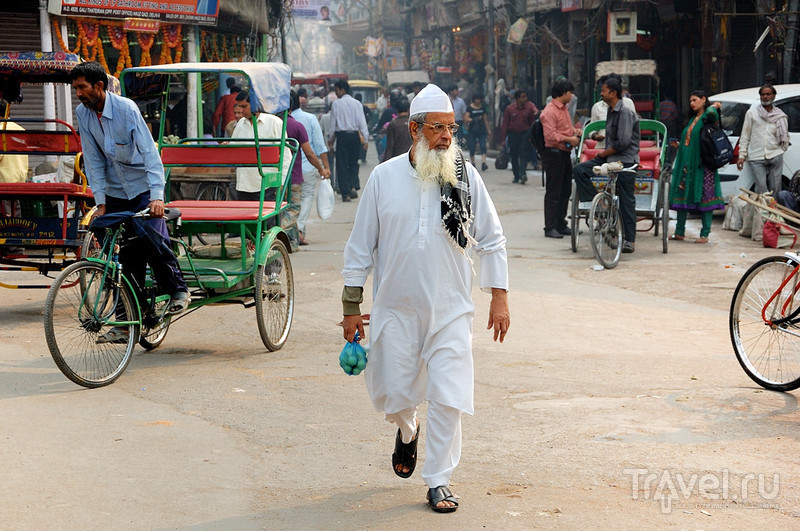 Проект "Гималайский индюк". Пешком по Старому Дели / Фото из Индии