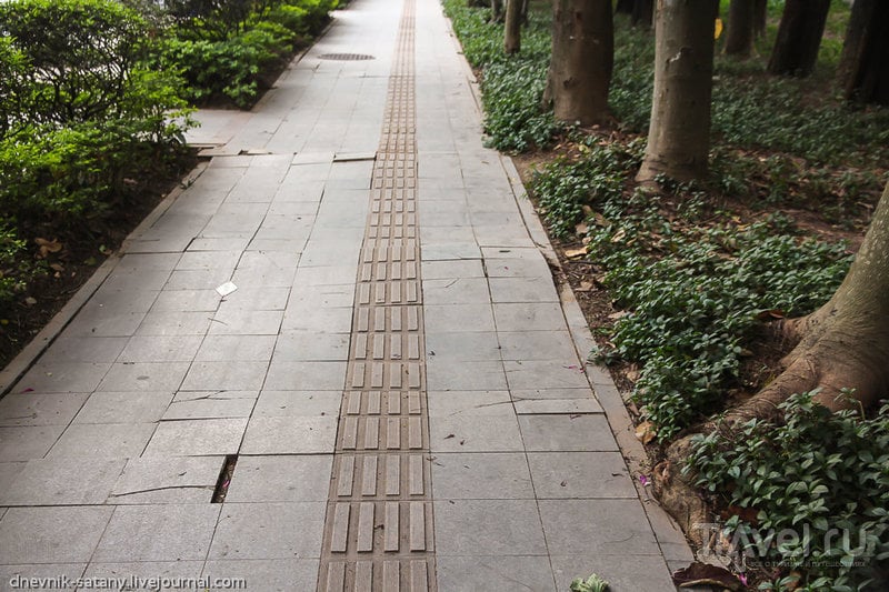 Шэньчжэнь: прогулки по улицам / Фото из Китая