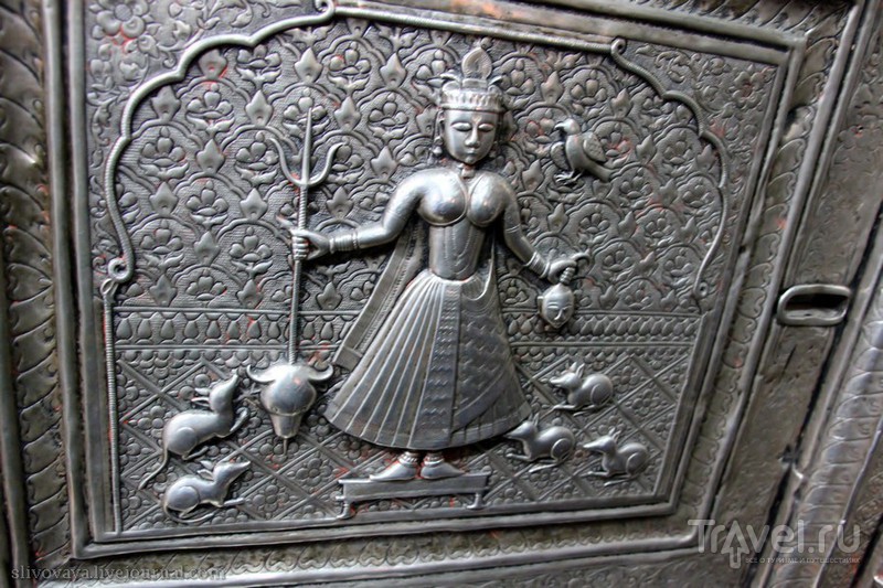 Храм крыс Шри Карни Мата в Дешноке / Индия