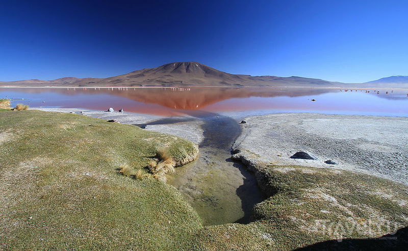 Фотозаметки. Лагуна Колорада, Боливия / Фото из Боливии