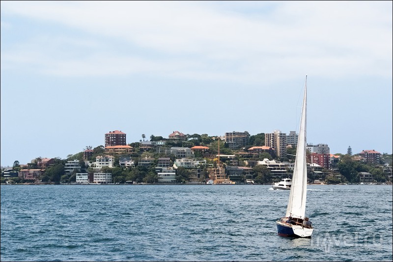 Сидней: Опера, остров Мэнли и круиз по заливу / Фото из Австралии
