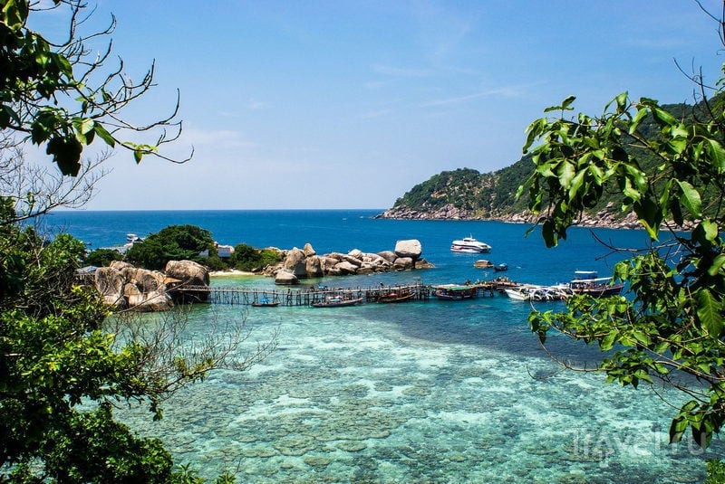 Остров Самуй и поездка на остров Тао / Фото из Таиланда