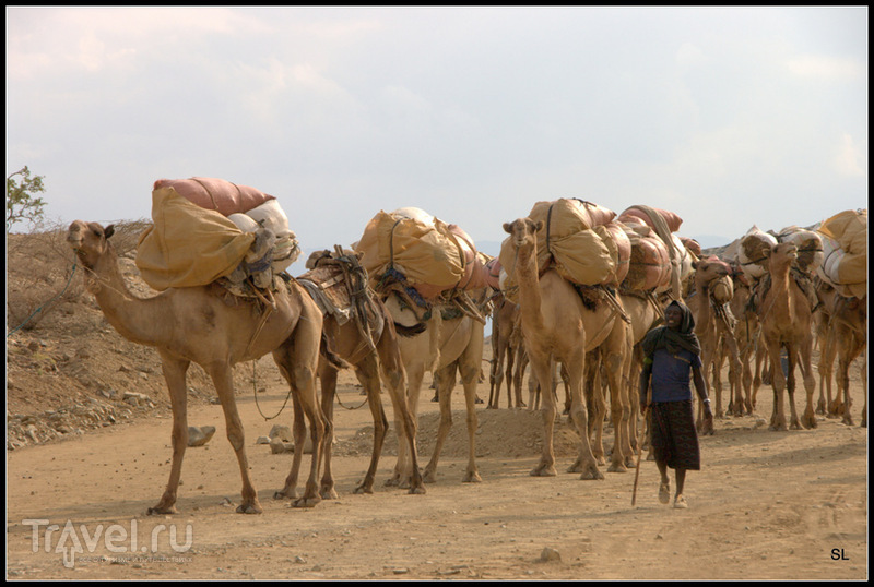 Mekele - Hamede Ela / Фото из Эфиопии