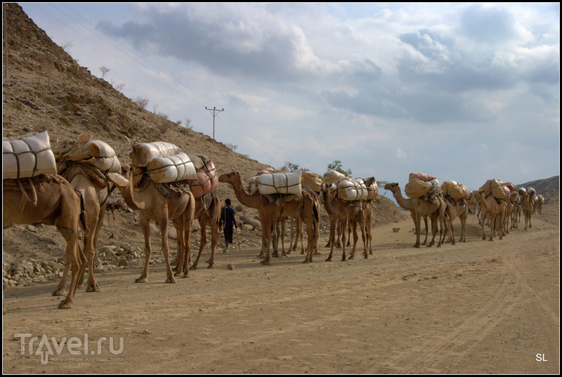 Mekele - Hamede Ela /   