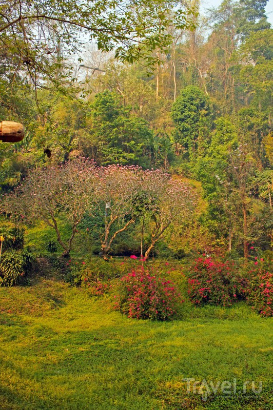 Поездка по Северному Таиланду: Chiang Mai - Chiang Dao - Doi Angkhang - Mae Salong / Таиланд