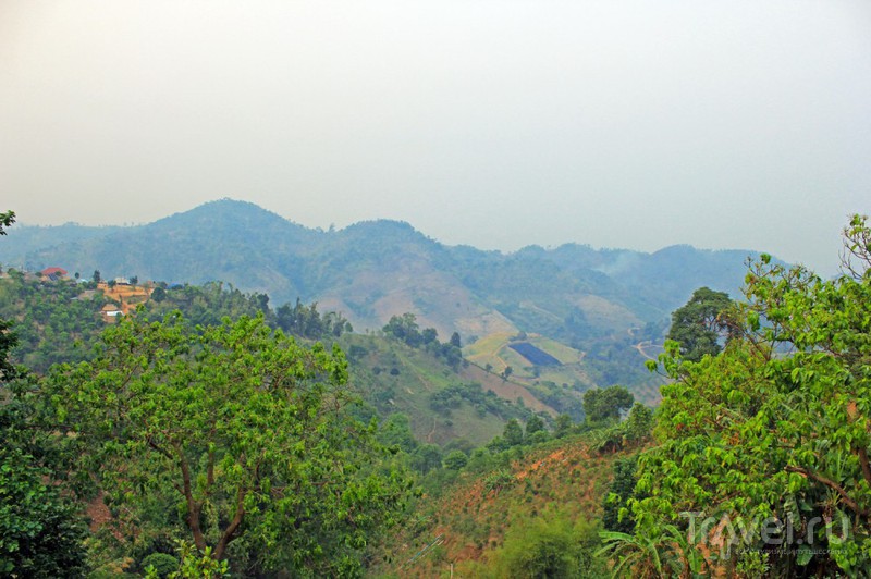    : Chiang Mai - Chiang Dao - Doi Angkhang - Mae Salong / 