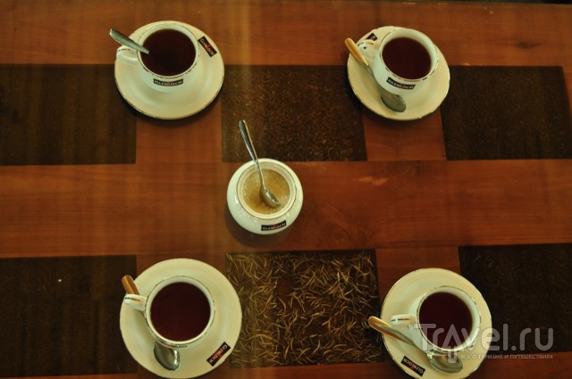 Шри-Ланка. Высокогорный чай / Шри-Ланка