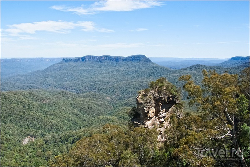 Голубые горы, Австралия / Фото из Австралии