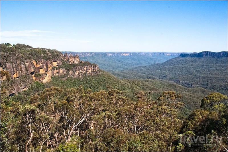 Австралия: парк Featherdale и Голубые горы / Фото из Австралии