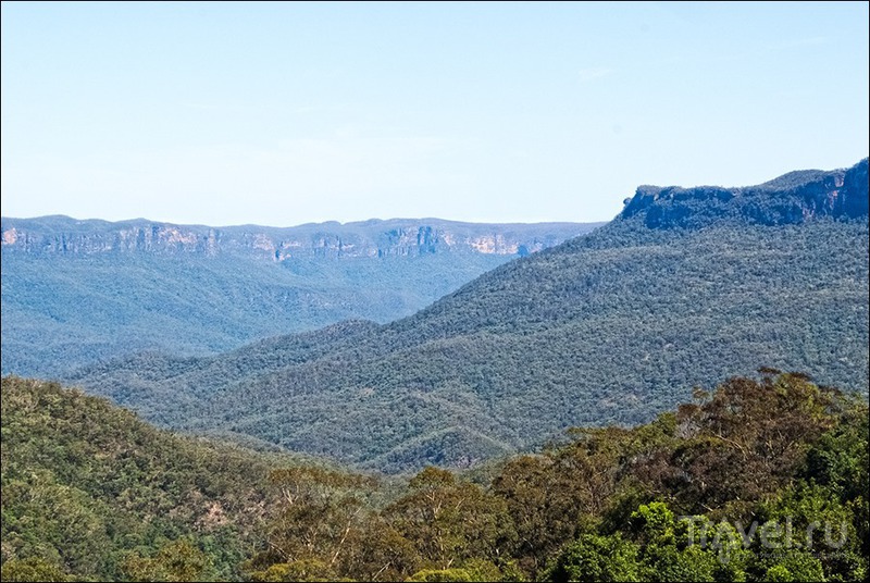 Австралия: парк Featherdale и Голубые горы / Фото из Австралии