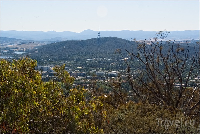   - Canberra /   