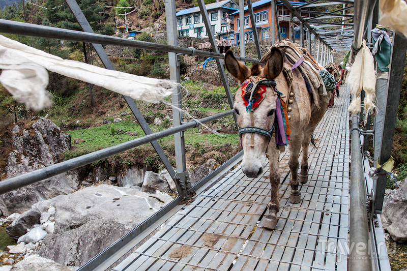 Непал. Национальный парк Сагарматха. Путь через три перевала / Фото из Непала