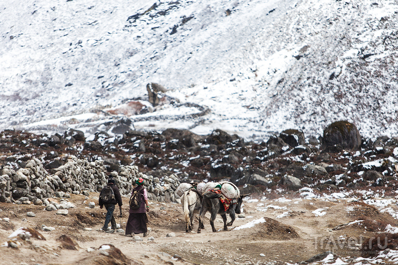 Непал. Национальный парк Сагарматха. Путь через три перевала / Фото из Непала