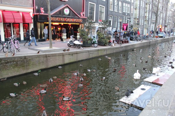 Амстердам. Общие впечатления / Нидерланды