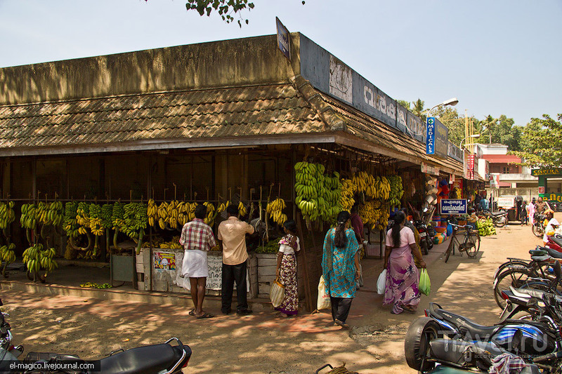 Варкала: рыбацкая деревня и рынок / Фото из Индии