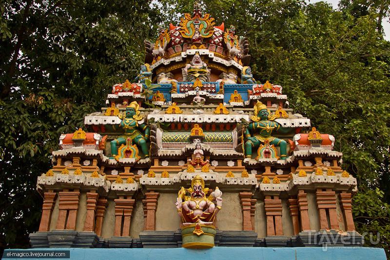 Варкала: наша индийская свадьба и 2000-летний храм Вишну / Фото из Индии