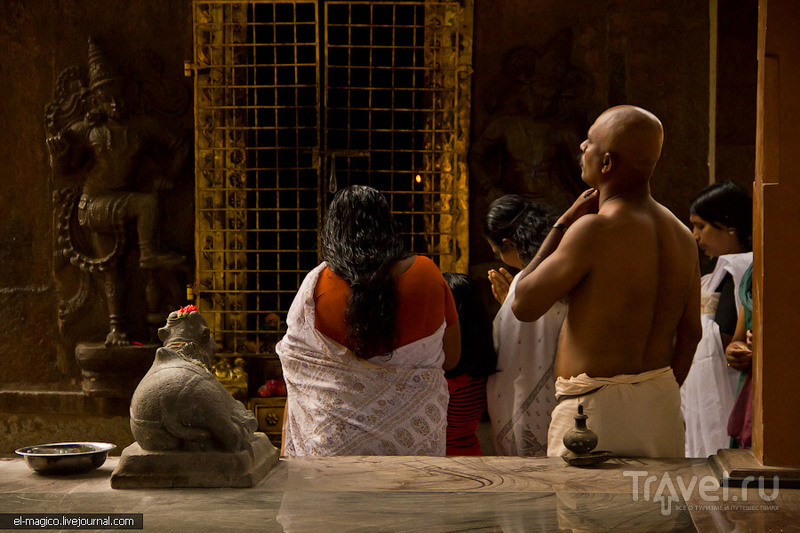 Варкала: наша индийская свадьба и 2000-летний храм Вишну / Фото из Индии