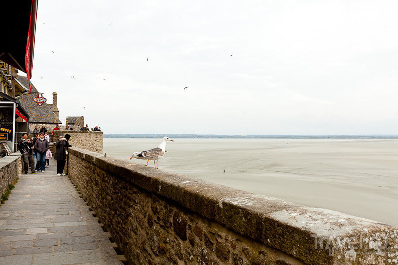 -- (Mont Saint-Michel) /   