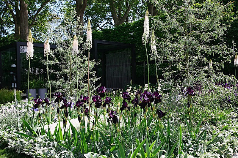 Chelsea flower show /   