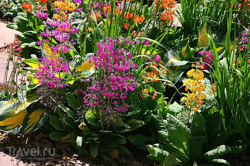 Chelsea flower show /   