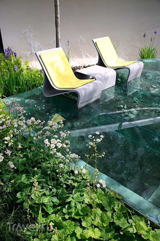Chelsea flower show / Фото из Великобритании