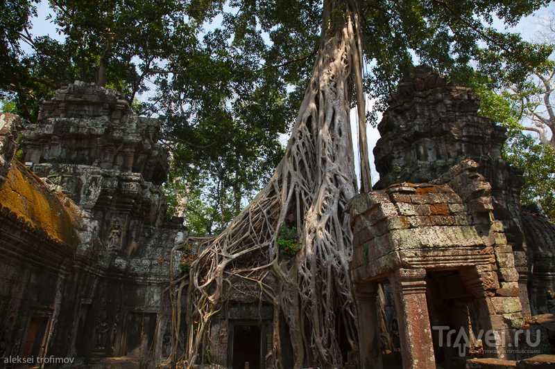 Ангкор-Ват / Фото из Камбоджи