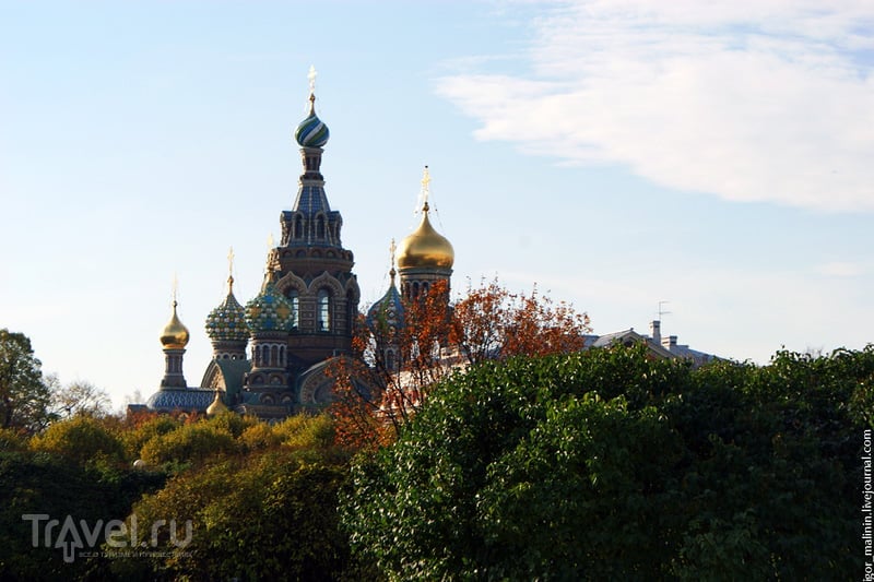 Красивый осенний Петербург (октябрь 2012) / Фото из России