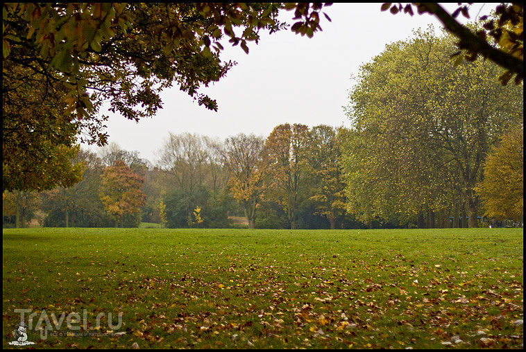Осенний Лестер / Фото из Великобритании