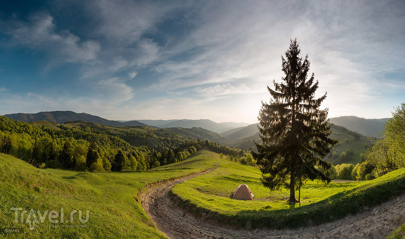 В Карпатах, Украина / Фото с Украины