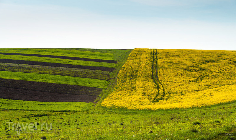 Весна в Карпатах / Фото с Украины
