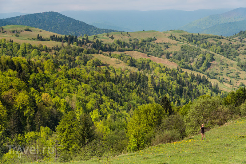 Весна в Карпатах / Фото с Украины