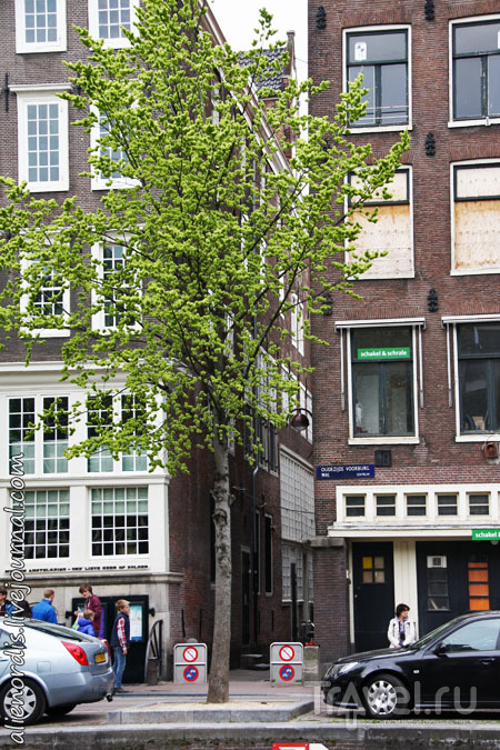 Амстердам: потайная церковь в квартале красных фонарей / Нидерланды