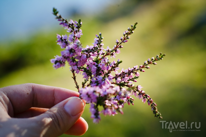 В царстве льда - ледник Svartisen / Фото из Норвегии