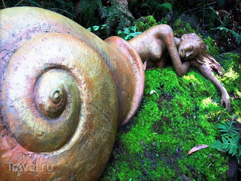 Австралийский сад скульптур Бруно Торфса напоминает волшебный мир в таинственном лесу / Австралия