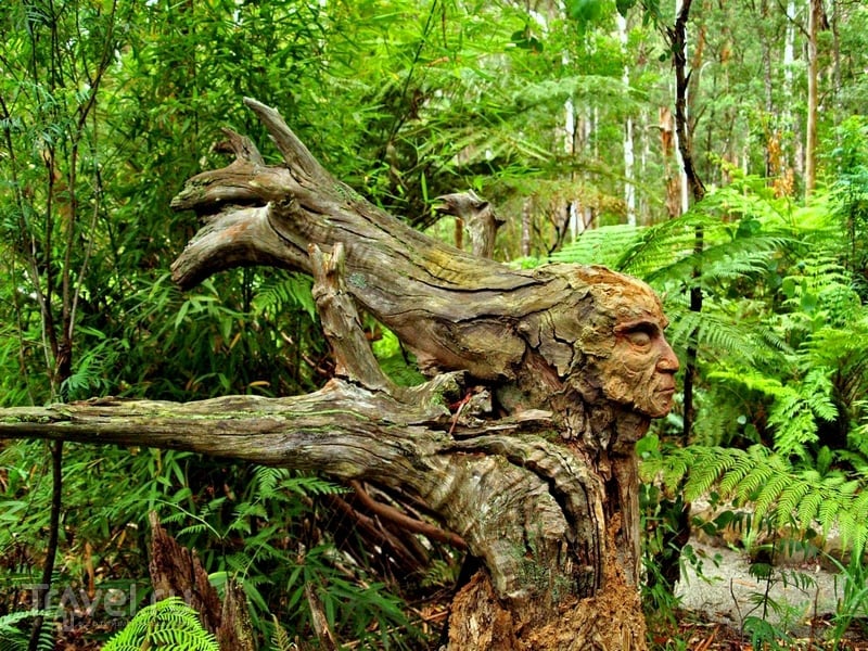 Вырезанные из корней деревьев фигуры сказочных персонажей в саду скульптур Бруно Торфса, Австралия / Австралия