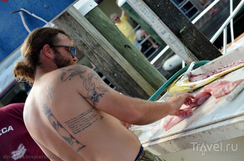 Рыбный рынок в пятнадцати минутах от Белого дома. Вашингтон / Фото из США