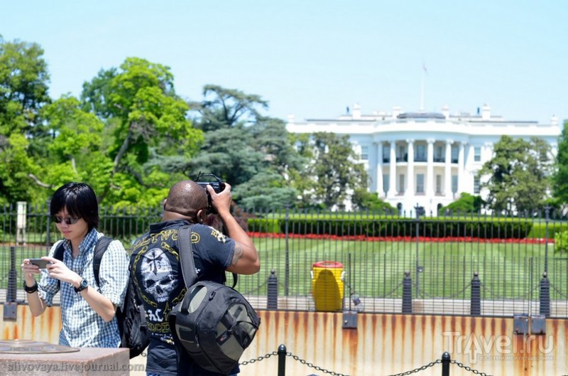 Белый дом в Вашингтоне, США / Фото из США