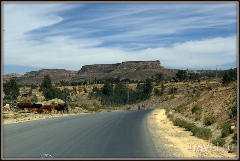В провинции Тиграй, Эфиопия / Фото из Эфиопии
