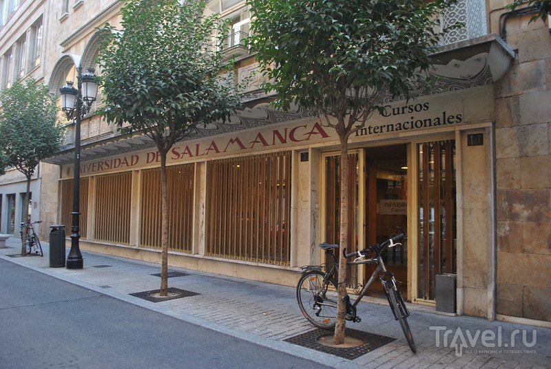 Саламанка: как поехать на курсы испанского в Испанию / Испания