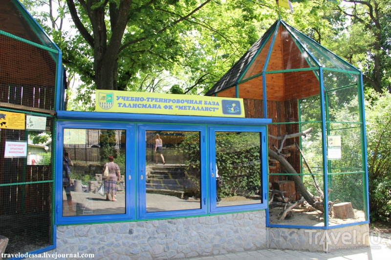 Харьковский зоопарк / Фото с Украины